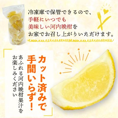冷凍 河内晩柑  皮付き 500g×2袋 小分け 愛南ゴールド 和製グレープフルーツ おやつ 柑橘 かんきつ 冷凍 冷凍柑橘 冷凍みかん 夏 アイス サワー カクテル スムージー シャーベット みかん職人武田屋 愛媛県 愛南町