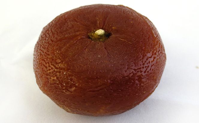 銘菓 詰合せ 柚の香あそび 金 ゆべし 和菓子 お菓子 