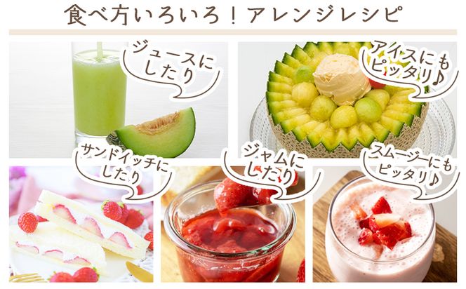 マスクメロン イチゴセット yr-0110