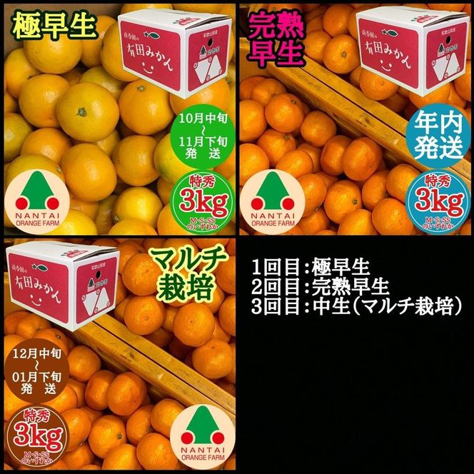 定期便 先行受付 2026年 10月発送スタート 有田みかん 食べくらべ 3種 特秀 各 3kg コース 全3回 南泰園  BS813