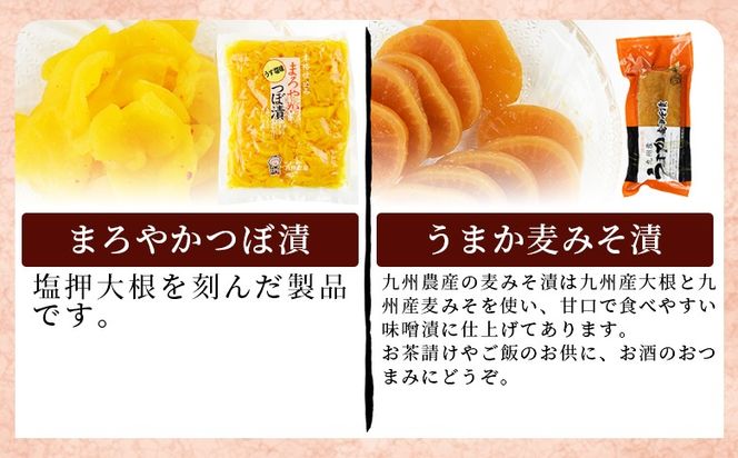 ＜漬物詰め合わせ 10種セット＞翌月末迄に順次出荷【 漬け物 詰め合わせ 食べ比べ セット 加工品 国産 沢庵 たくあん 大根 しそ味 ごはん ご飯のお供 お茶漬け 付け合わせ 】【b0917_kn_x1】