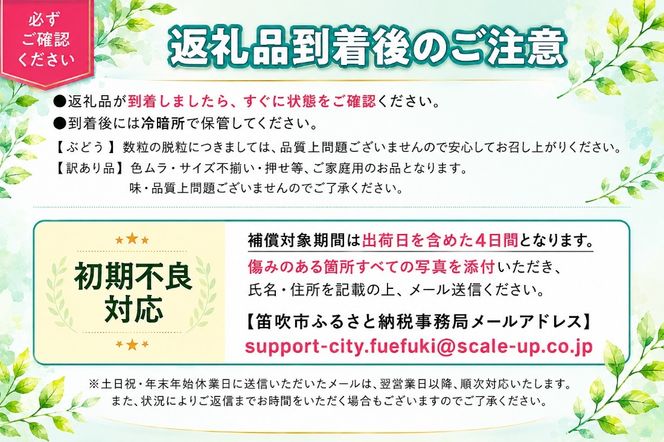 【2026年発送★先行予約】フルーツ王国笛吹市の大粒シャインマスカット3~4房2kg  137-003-26y