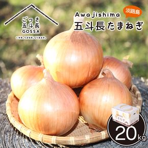 五斗長玉ねぎ 20kg　玉ねぎ