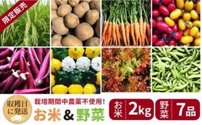 【☆畑直送☆限定販売！栽培期間中農薬不使用！】お 米 2kg & 野菜 7品 の セット 糸島市 / オーガニックナガミツファーム [AGE035]