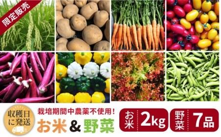 【☆畑直送☆限定販売！栽培期間中農薬不使用！】お 米 2kg & 野菜 7品 の セット 糸島市 / オーガニックナガミツファーム [AGE035]