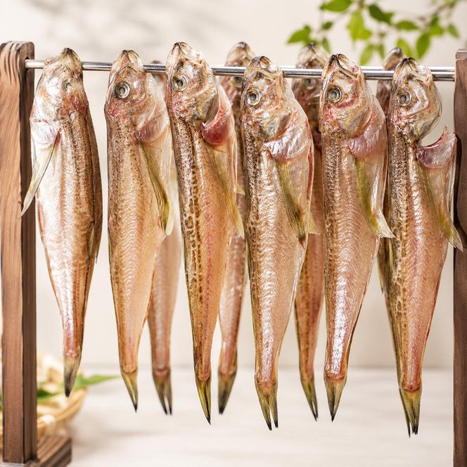 ハタハタ（大）干物 一夜干し 450g ×2箱【配送不可：離島】 魚貝類 海鮮 干物 おつまみ 肴 ハタハタ 酒  myz02 myz09 myz11 myz17 myz23
