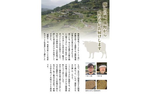 希少和牛 熊野牛特上モモ すき焼き用 約500g ＜冷蔵＞ すき焼き しゃぶしゃぶ 牛肉【sim102A】