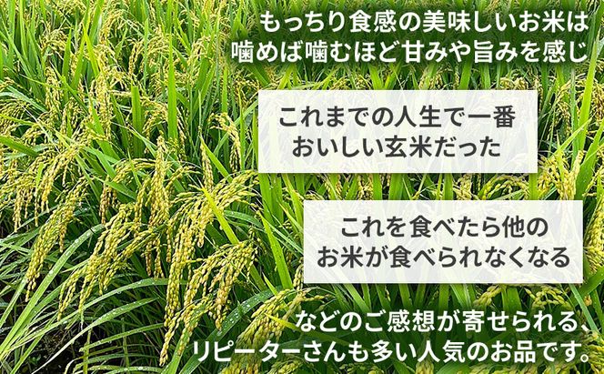 米 コウノトリ舞う田んぼで大自然が育てた"有無ファーム"こだわり米 玄米 10kg お米 栽培期間中農薬・化学肥料不使用
