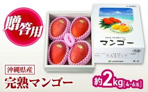 【先行予約】【2026年発送】 完熟マンゴー 約2kg (4～6玉 / 化粧箱・秀品) マンゴー 沖縄 果物 フルーツ ギフト 沖縄市 / ちゃんぷる～市場 [BCAA004]