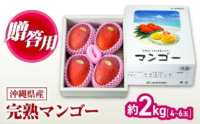 【2026年発送】 完熟マンゴー 約2kg (4～6玉 / 化粧箱・秀品) マンゴー 沖縄 果物 フルーツ ギフト 沖縄市 / ちゃんぷる～市場 [BCAA004]