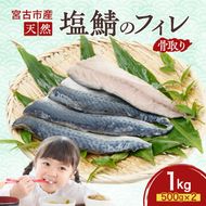 国産 天然 塩鯖 フィレ 骨取り 三陸の恵み 冷凍 1kg 500g ×2袋 岩手県 宮古市