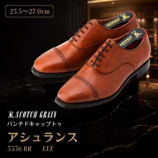 スコッチグレイン ビジネスシューズ メンズ アシュランス 3536BR パンチドキャップトゥ 革靴 本革 日本製 EEE 送料無料 ギフト