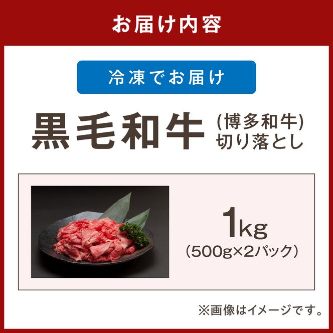 黒毛和牛 (博多和牛) 赤身 切り落とし1kg（500g×2パック）【伊豆丸商店】_HA0726