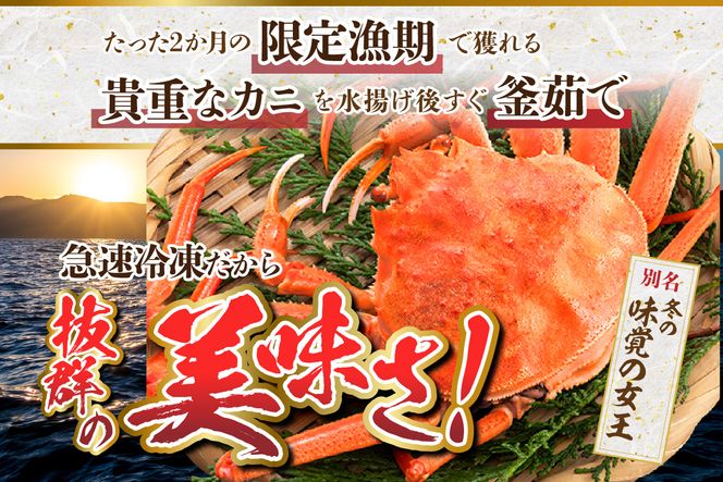 【セコガニ 訳あり（欠足 キズ 汚れなど）約120g×10匹 冷凍】内子 外子 カニ味噌 濃厚 絶品 釜茹で 冷凍 産地直送 鮮度抜群 国産 かに カニ 蟹 ボイル ズワイガニ 松葉がに せいこがに メスガニ 雌 めす 親ガニ 大人気 おすすめ 贈り物 ギフト お取り寄せ 兵庫県 香美町 香住 柴山 日本海フーズ 07-117