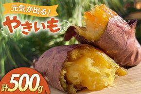 【期間限定発送】 焼き芋 「元気が出るやきいも（フローズン）」紅はるか 500g 冷凍 [うみとやきいもラッキーズ 静岡県 吉田町 22424682] やきいも 焼きいも 焼芋 ヤキイモ 焼イモ おいも 芋 いも べにはるか さつま芋 さつまいも サツマイモ おやつ スイーツ