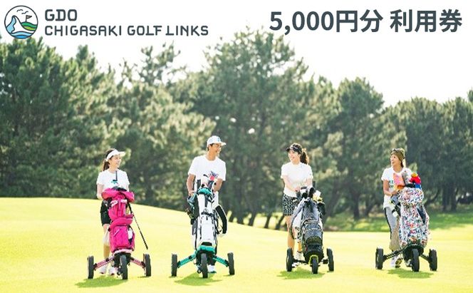 ゴルフ場 神奈川 GDO茅ヶ崎ゴルフリンクス 5,000円分　利用券 ゴルフ ゴルフ場利用権 ラウンド 運動 健康 スポーツ 自然 コース