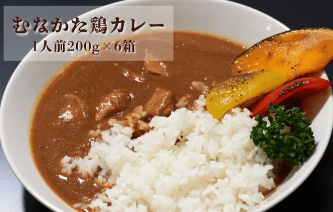 むなかた鶏カレー 6個セット【道の駅むなかた】_HA1827