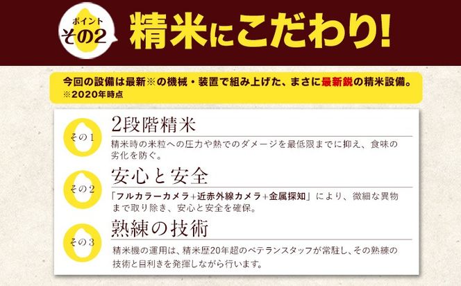 米 無洗米 令和6年産 新米 特A受賞品種 ひのひかり 森のくまさん 米 送料無料 選べる 内容量 10kg または 20kg 食べ比べ ヒノヒカリ 選べる 厳選 熊本県産(長洲町産含む) 米 お米 森くま 《7-14営業日以内に出荷予定(土日祝除く)》長洲町---ng_hm6_wx_24_19000_10kg---