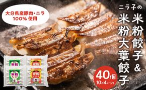 【A02038】大分特産！グルテンフリーのニラと大葉の米粉餃子