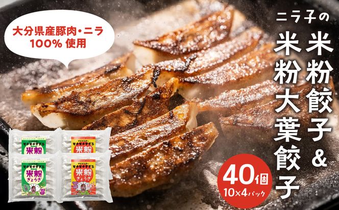【A02038】大分特産！グルテンフリーのニラと大葉の米粉餃子