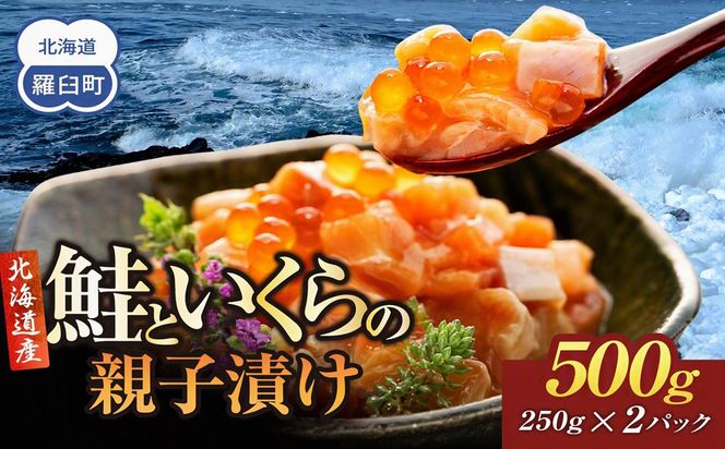 【2027年2月発送】北海道産 鮭といくらの親子漬け 500g （250g × 2パック） 小分け 国産 北海道 羅臼 サケ さけ シャケ しゃけ イクラ 魚卵 鮭卵 醤油漬け しょうゆ漬け 親子丼 海鮮丼 ご飯のお供 おかず おつまみ 一人暮らし おすそわけ 魚介類 生産者 支援 応援 016942_AA078VC02