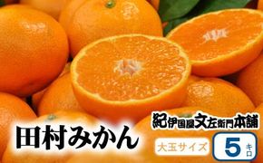 田村みかん 5kg 秀品【大玉サイズ】/紀州和歌山有田郡湯浅町田村地区産 ◆2025年11月下旬～2026年1月中旬頃に順次発送(お届け日指定不可)　紀伊国屋文左衛門本舗【kztb305B】