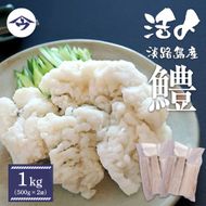 活〆淡路島産 鱧 （はも） 骨切り 【鮮度自慢】 1kg（500ｇ×2袋） 冷凍