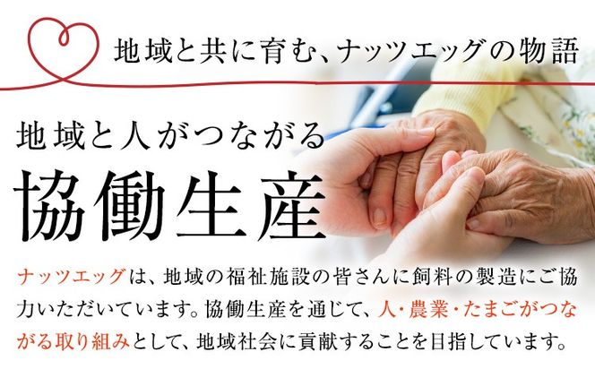 卵 大津町産 ナッツエッグ 有精卵 30個 定期便 あり 3回 6回 12回 合資会社相良ポートリー《出荷時期をお選びください》熊本県 大津町 卵 鶏卵 たまご タマゴ 赤玉子 送料無料---oz_srp_5_30k---