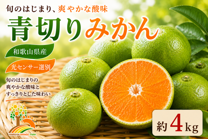 【先行予約】こだわりの青切りみかん 約4kg 農家直送 有機質肥料 100% サイズ混合 ｜ みかん 柑橘 果物 くだもの 果実 フルーツ 和歌山 有田