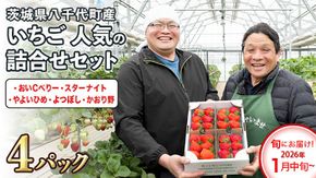 【 先行予約 2026年1月中旬以降発送 】 数量限定 農家直送 ♪ 八千代町産 いちご ボリュームパック （ 4パック ） 人気 の 詰め合わせ セット イチゴ 苺 季節限定 茨城県 フルーツ 果物 食べ比べ セット [AJ002ya]