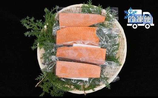 トラウトサーモン プレミアムグレード 700g（刺身 サーモン 冷凍 鮭 トラウトサーモン 寿司 海鮮 炙り カルパッチョ マリネ）【002269】