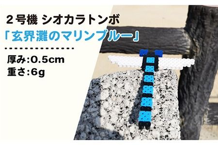 二号機：玄界灘のマリンブルー シオカラトンボ《糸島》【糸島とんぼ】[APK003] とんぼ 自然 子供 子ども おもちゃ 玩具 オブジェ 女の子 男の子 おもちゃとんぼ おもちゃ自然 おもちゃ子供 おもちゃ子ども おもちゃシオカラトンボ おもちゃ玩具 おもちゃオブジェ おもちゃ女の子 おもちゃ男の子