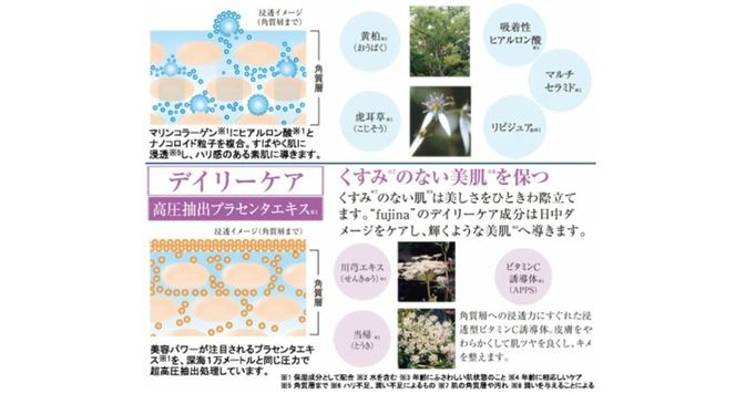 【ふるプレ限定品】fujina(フジナ)モイスチャーセット