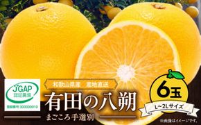 【2027年先行予約】和歌山県産 有田の八朔 (はっさく) 6玉【L～2Lサイズ】まごころ手選別 _ZE6306n