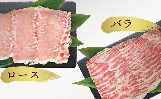 【3ヵ月定期便】【美ら島あぐー】しゃぶしゃぶセット600g（ロース・豚バラ）各300ｇ あぐー バラエティー 沖縄 大宜味村 豚肉 小分け 国産 おつまみ こだわり ぶた アグー 加工品 おいしい 美味しい 取り寄せ 肉 豚 冷凍 まろやか 旨味