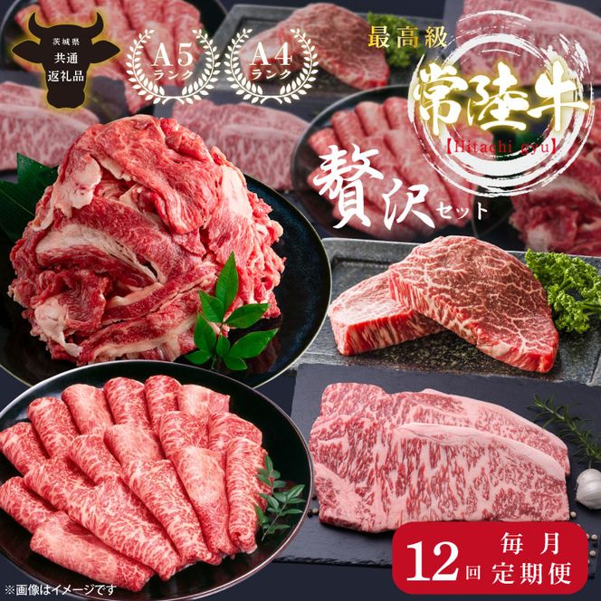 【定期便特別価格】【12回定期便】最高級A4.A5ランク 常陸牛贅沢セット【人気肉 お肉 牛肉 和牛 黒毛和牛 国産黒毛和牛 ロース肉 ステーキ 国産牛 焼肉 焼き肉 バーベキュー BBQ A5 ブランド牛】（CR114）