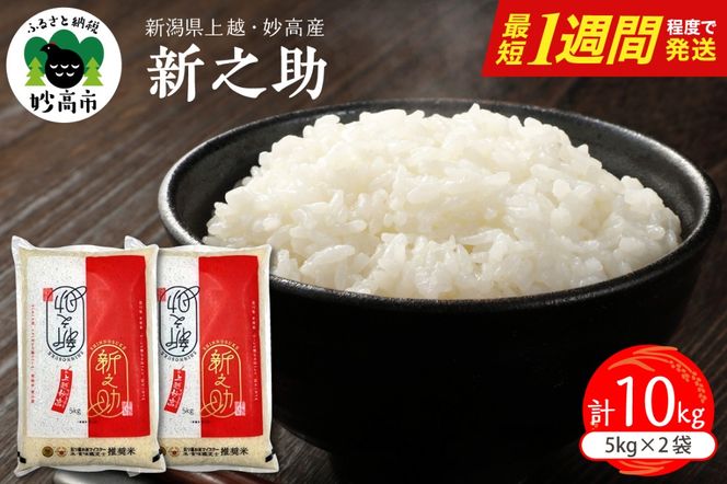 【最短1週間程度発送】令和8年産  新潟県上越妙高産 新之助 10kg