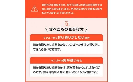 【令和7年発送】宮崎マンゴー 太陽の子８玉（2.8kg以上） 【 果物 フルーツ マンゴー 宮崎県産 みやざきマンゴー 】 [D06704]