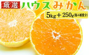 厳選 ハウスみかん5kg+250g（傷み補償分）