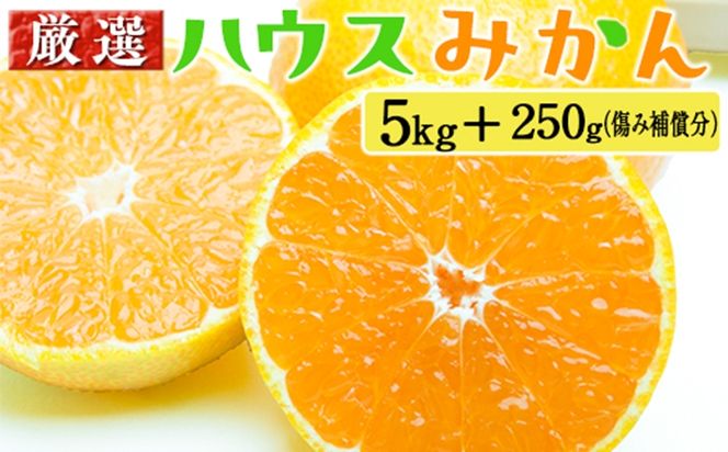 厳選 ハウスみかん5kg+250g（傷み補償分）