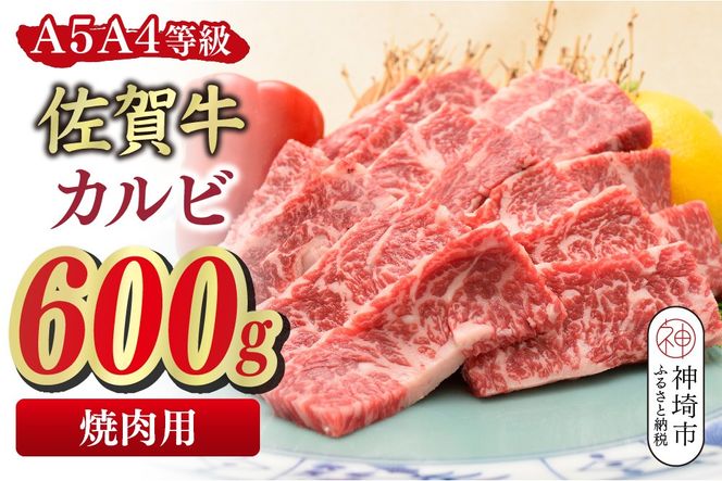 佐賀牛 カルビ 焼肉用 600g【A4～A5ランク】【希少 国産和牛 牛肉 肉 牛 焼肉】(H085206)