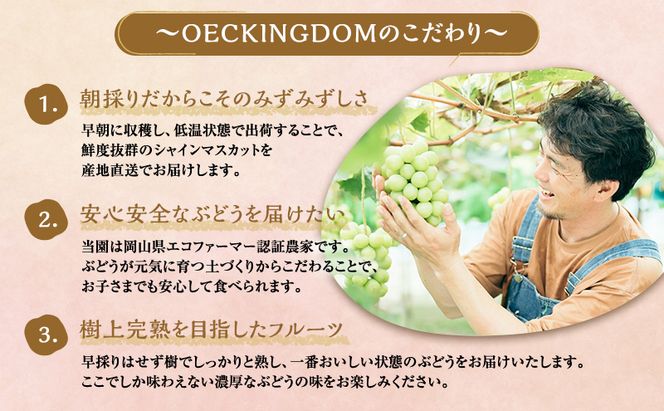 ぶどう 2026年 先行予約 シャインマスカット と おまかせ 2品種 詰め合わせ 合計2kg ブドウ 葡萄 岡山県産 国産 フルーツ 果物 ギフト OEC KINGDOM ぶどう家 果物類