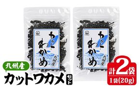 九州産 カットわかめ (計2袋・1袋20g入) 海藻 わかめ 味噌汁 みそ汁 サラダ 酢の物 スープ 国産 九州産 常温 大分県 佐伯市【CW32】【山忠】