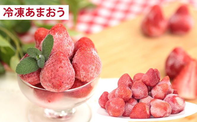 【2026年3月上旬～7月下旬発送予定】【3回定期便】あまおう贅沢チーズケーキセット (フレッシュあまおう、冷凍あまおう、プレミアムあまおうレアチーズケーキ) 冷凍 冷蔵