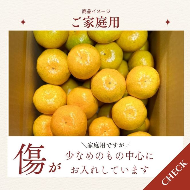 【ふるさと納税】有田みかん 極早生 9.3kg（箱込み10kg）家庭用 S～Lサイズ おまかせ【2026年11月発送】柑橘 フルーツ みかん 産地直送 お取り寄せ 送料無料  FA05