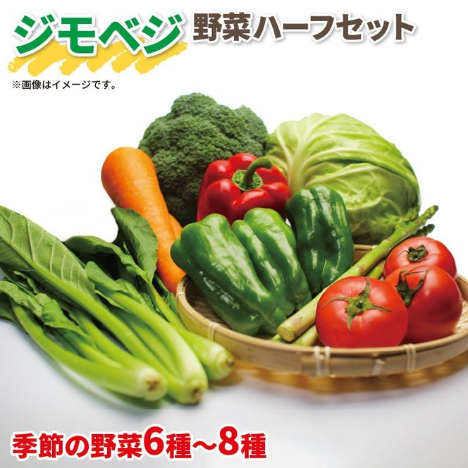 野菜 詰め合わせ 産地 直送 6 ~ 8種 減農薬 栽培 旬 採れたて やさい お試し 一人暮らし ふたり人暮し 健康 食材 ハーフセット 静岡県 藤枝市