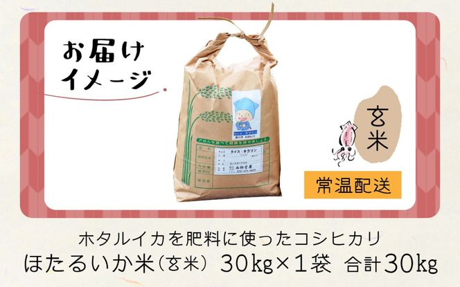 【訳あり】ほたるいか米（玄米30kg）【通年発送】