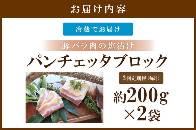 【定期便 毎月×3回】パンチェッタブロック（豚バラ肉の塩漬け）　約200g×2袋　NI00023