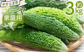 【2025年10月以降順次発送】ゴーヤ ３ｋｇ 家庭用 yr-0075