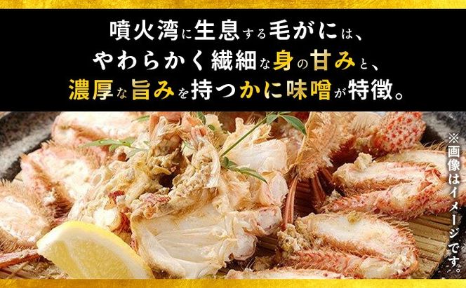 北海道 噴火湾産 冷凍 ボイル 毛がに 約300g×1尾